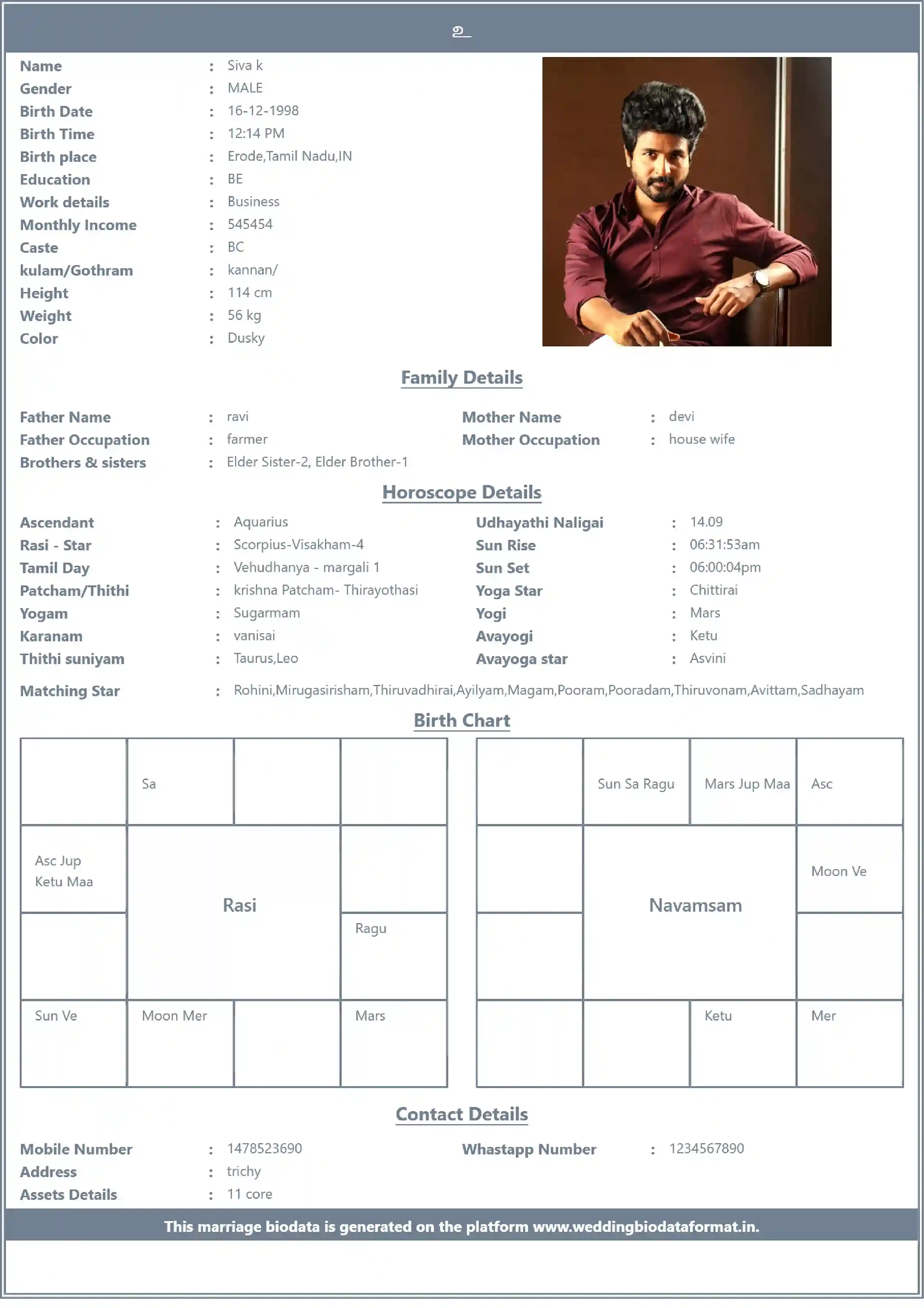 sample bio data template 6